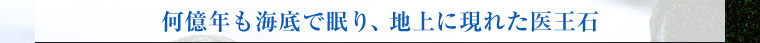 何億年も海底で眠り、地上に現れた医王石